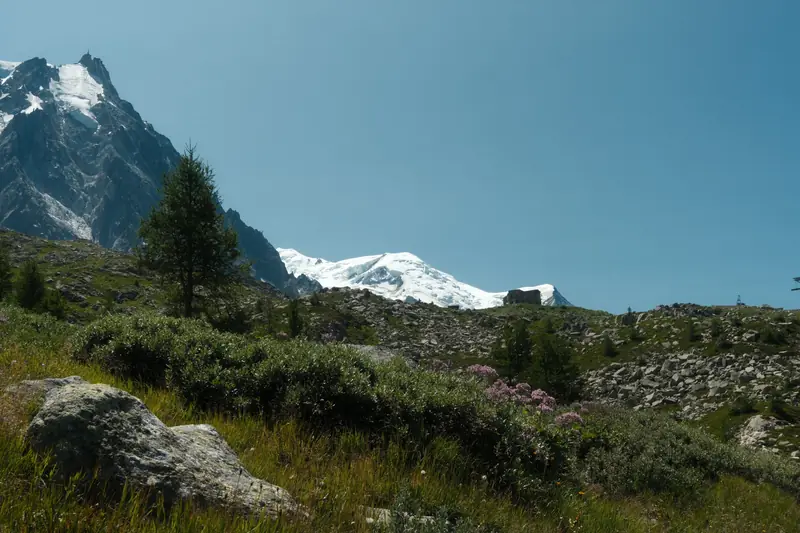 L’Aiguille du Midi et le dôme du Mont-Blanc au-dessus d’un alpage