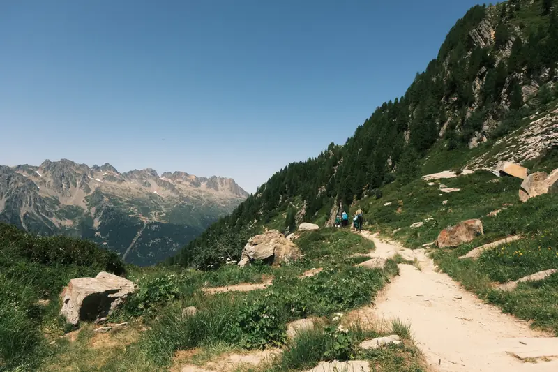 Sentier de randonnée au-dessus de la vallée de Chamonix