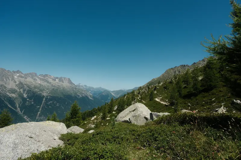 La vallée de Chamonix vue depuis un alpage aux blocs de granit